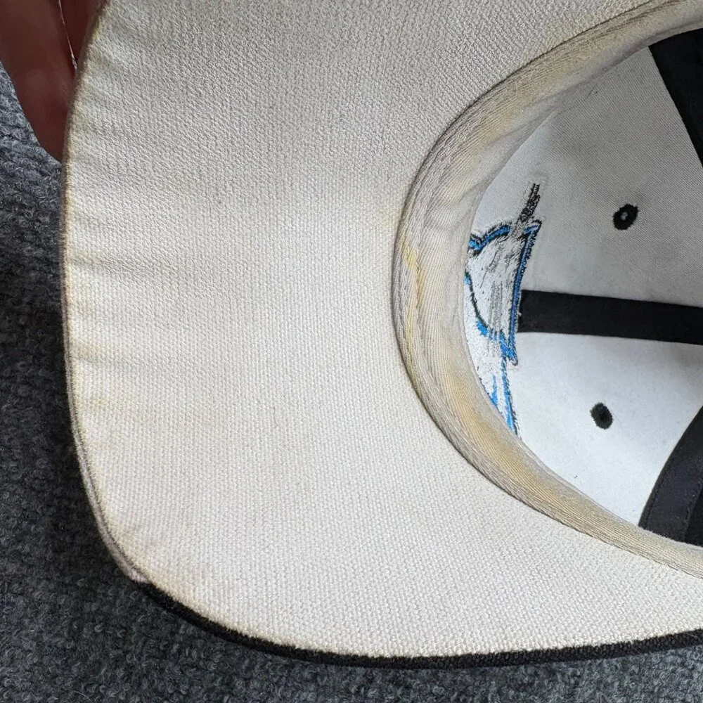 Vintage‎ Y2K Carolina Panthers Reebok NFL Baseball Cap Black Blue Hat Fan